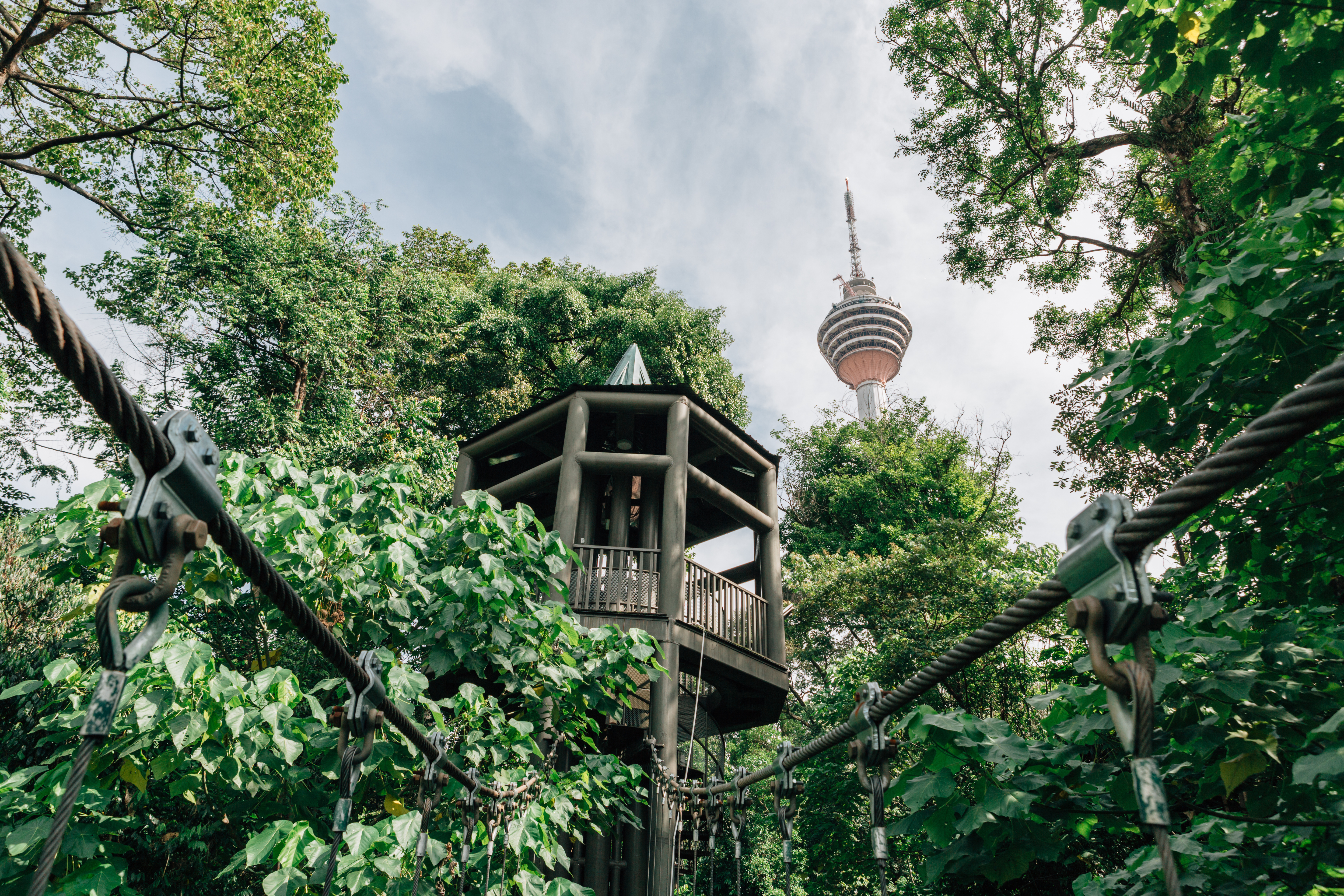 Kuala Lumpur Forest Eco Park