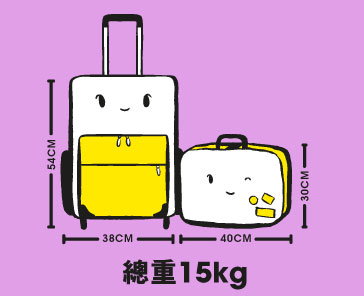 scoot hand luggage size