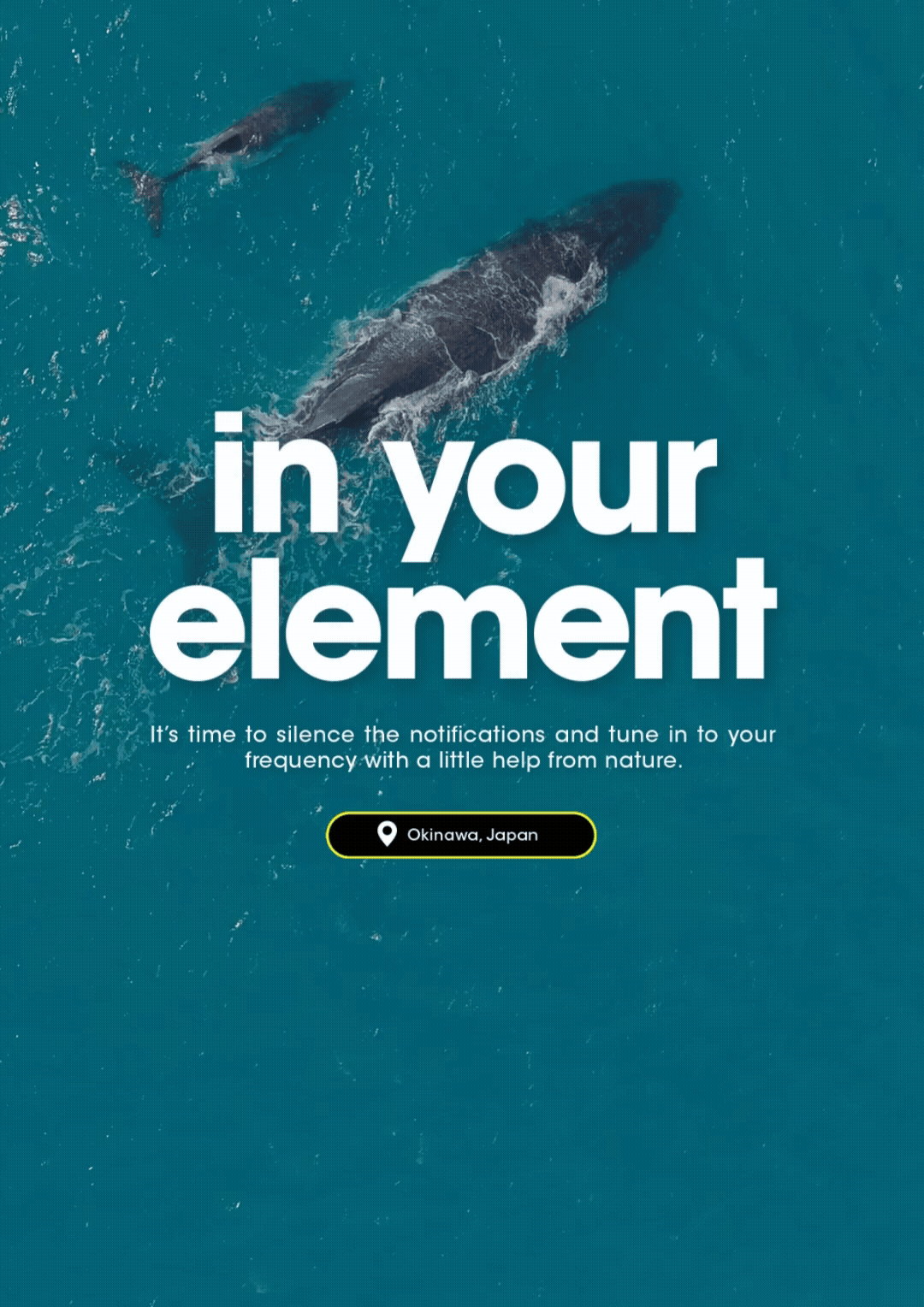 Jesus Christ Superstar musical poster with August opens 19 August 2026