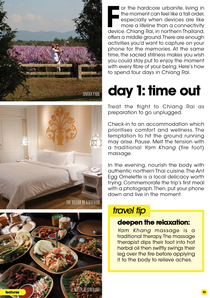 Unwind with a Yam Khang massage in tranquil Chiang Rai and enjoy Ant Egg Omelette