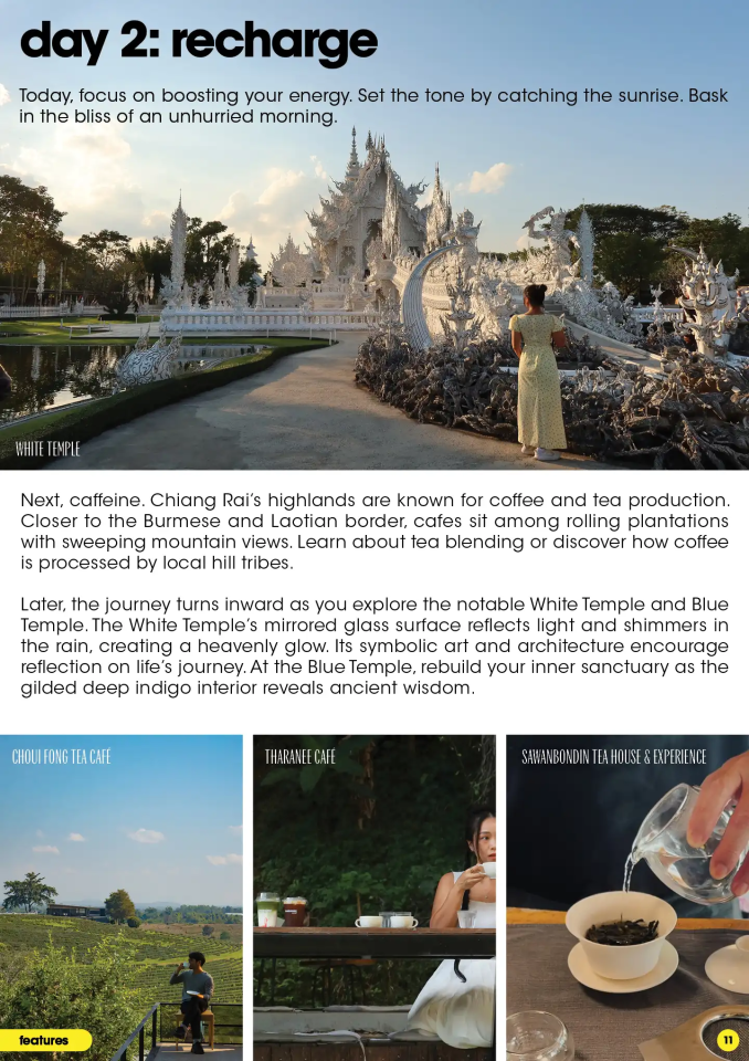 Reccomendation for Chiang Rai highlands coffee and tea plantation tour