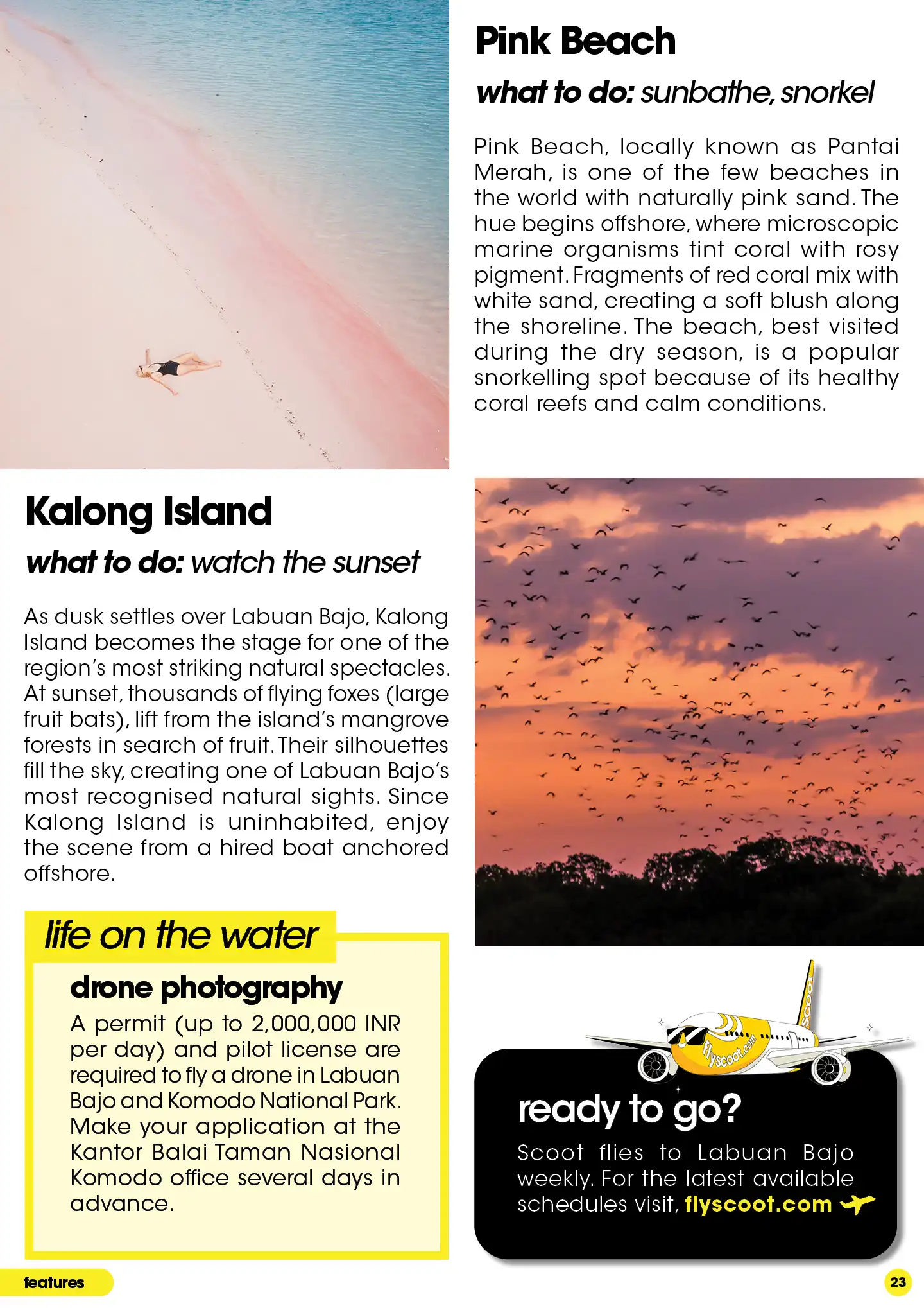 Naturally Pink beach, Pantai Merah, a popular snorkelling spot