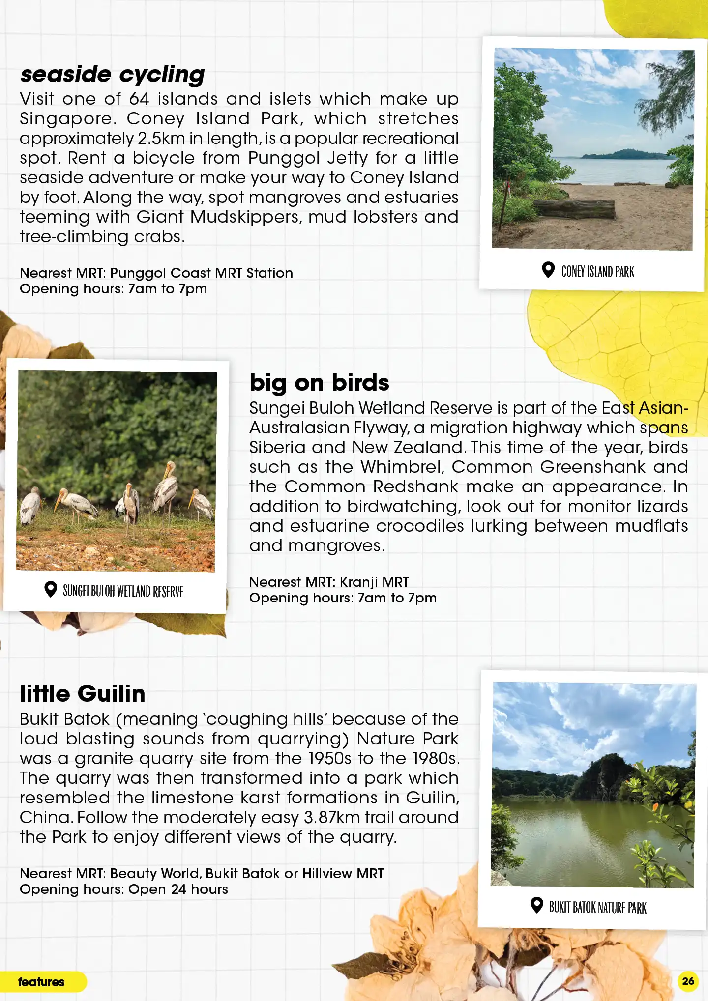 Enjoy seaside cycling at Coney Island, bird watch at Sungei Buloh Wetland Reserve and be explore the quarry at little Guilin