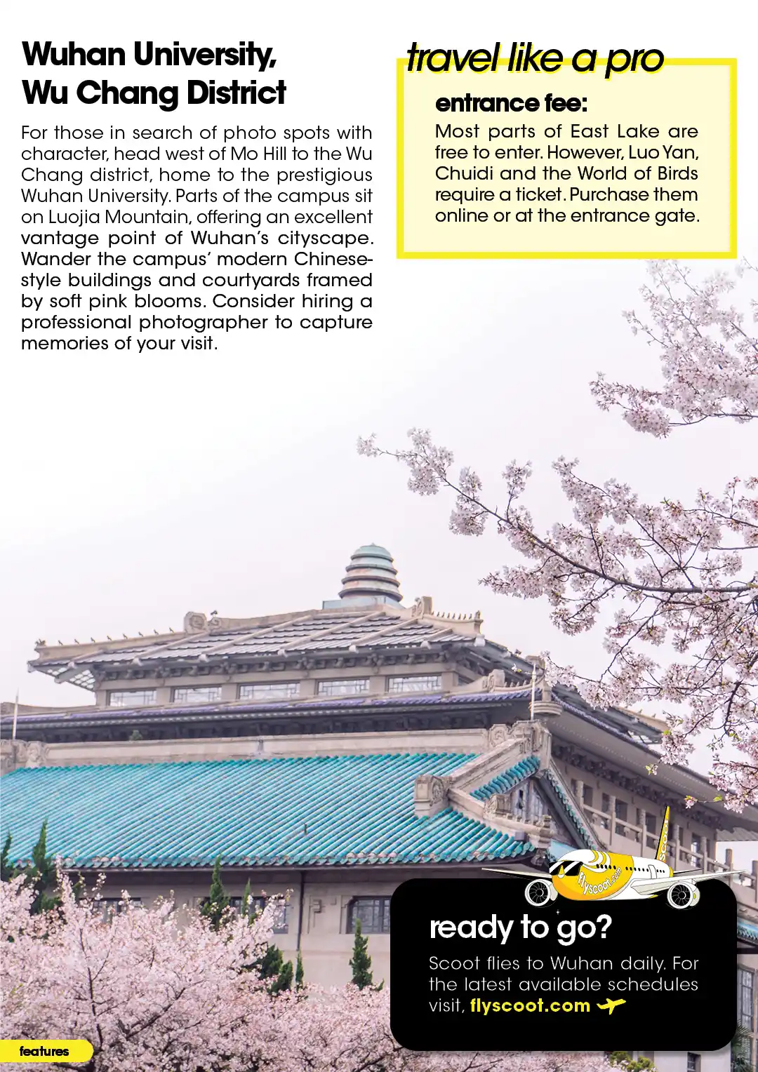 Guide to blossom photo spots at Wuhan University & Luojia Mountain. Image: a campus surrounded by cherry trees.