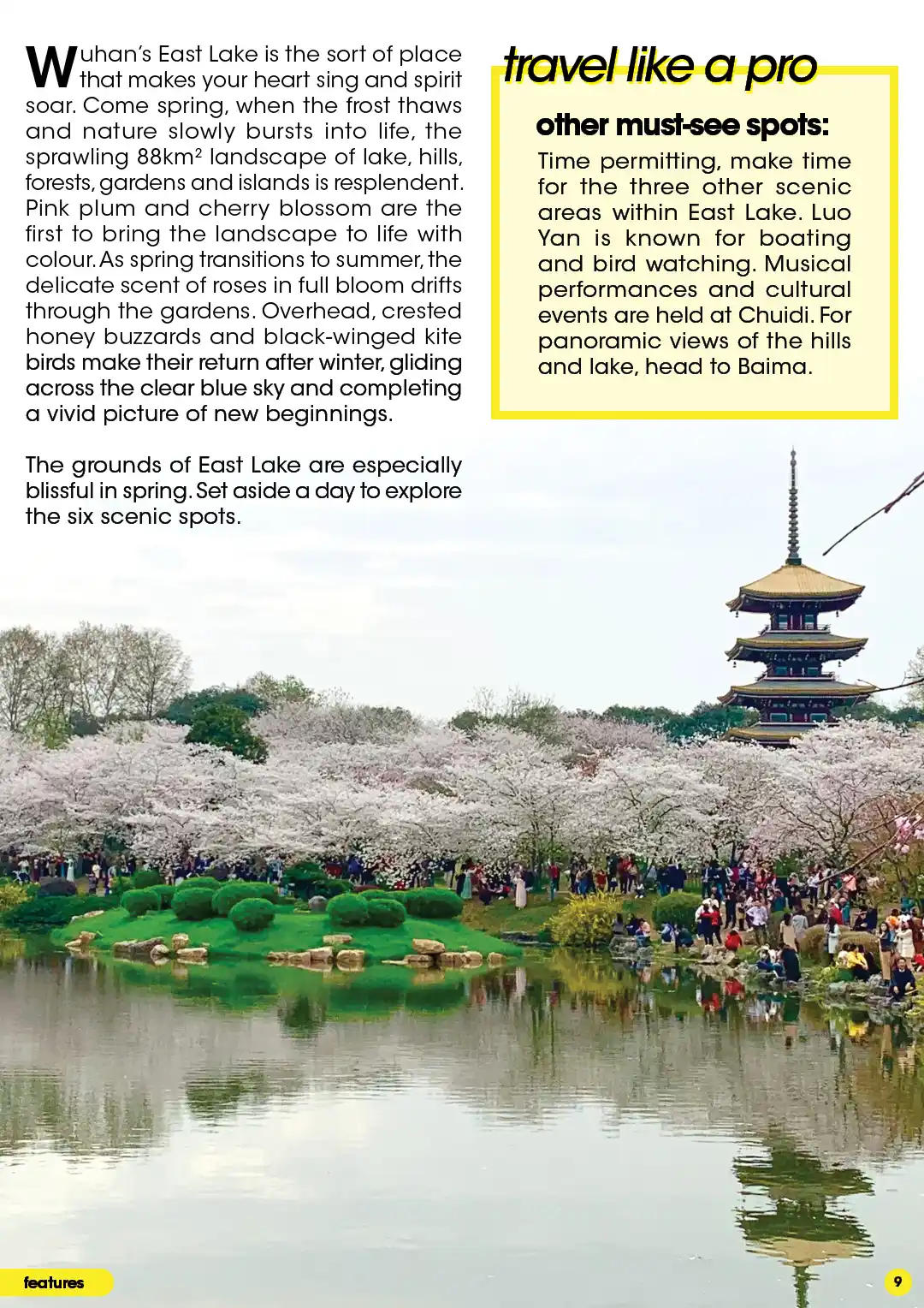 Article: Tourist tips for East Lake, Wuhan. Pagoda surrounded by fallen leaves of pink plum and cherry blossoms.