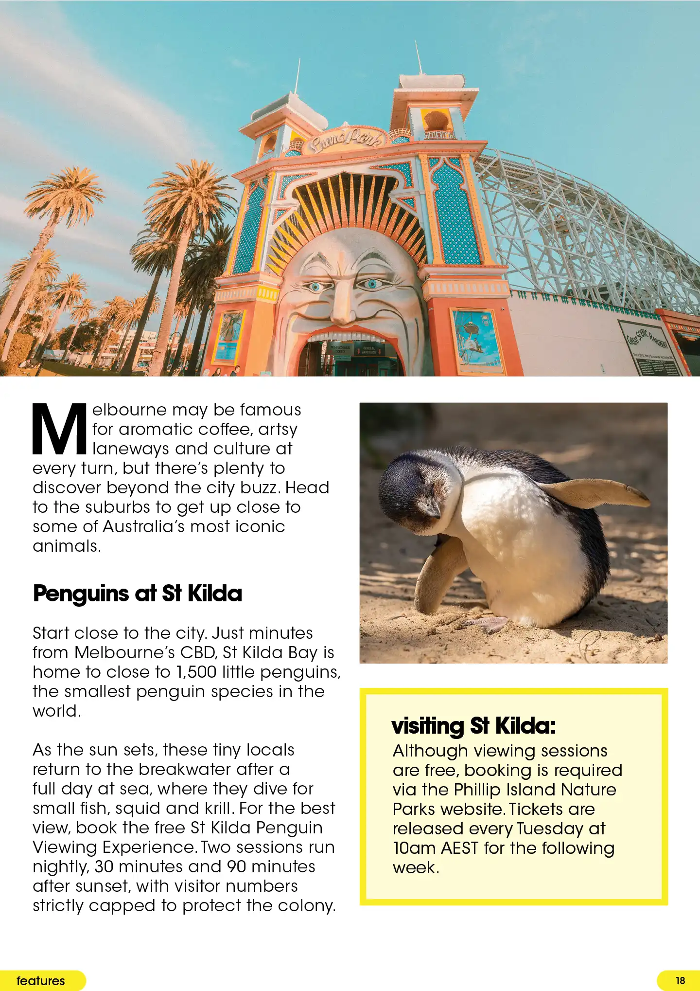 Melbourne wildlife guide: St Kilda penguins, with Luna Park and visitor booking information