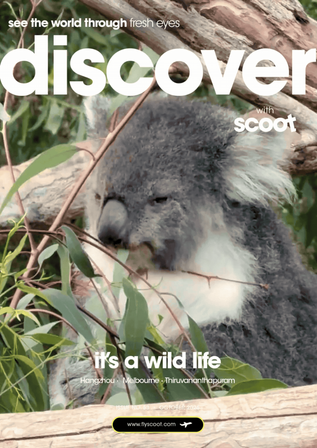 Koala resting among eucalyptus leaves, with Scoot’s October 2026 eMagazine title