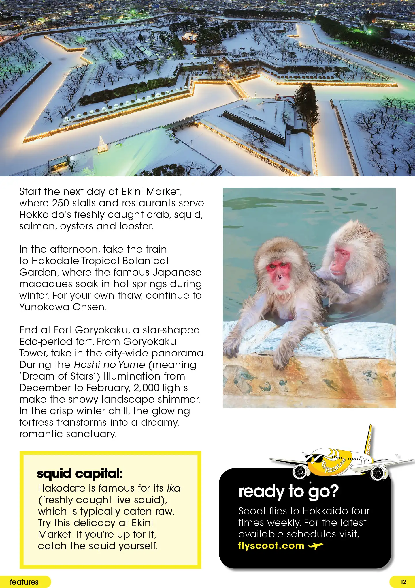 Hakodate itinerary page with a snow-covered star-shaped fort at night and hot-spring macaques; includes callouts on Hakodate as the “squid capital” and Scoot flights to Hokkaido.