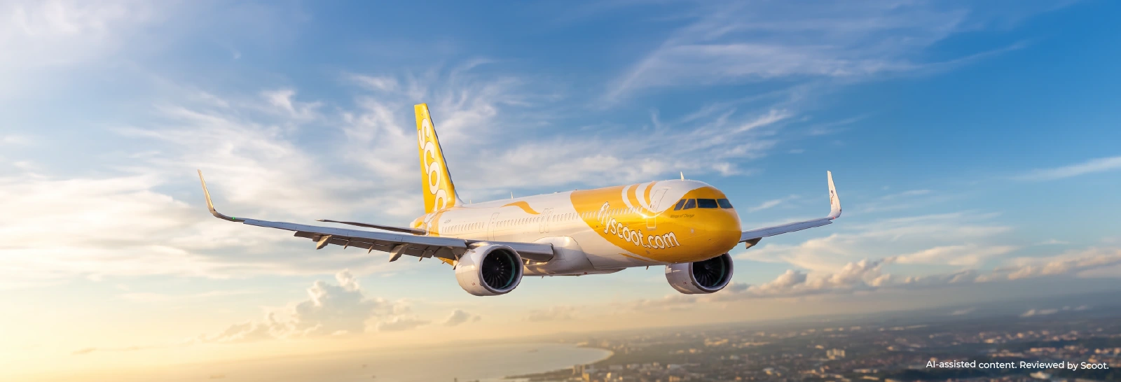 Scoot aircraft flying in the sky