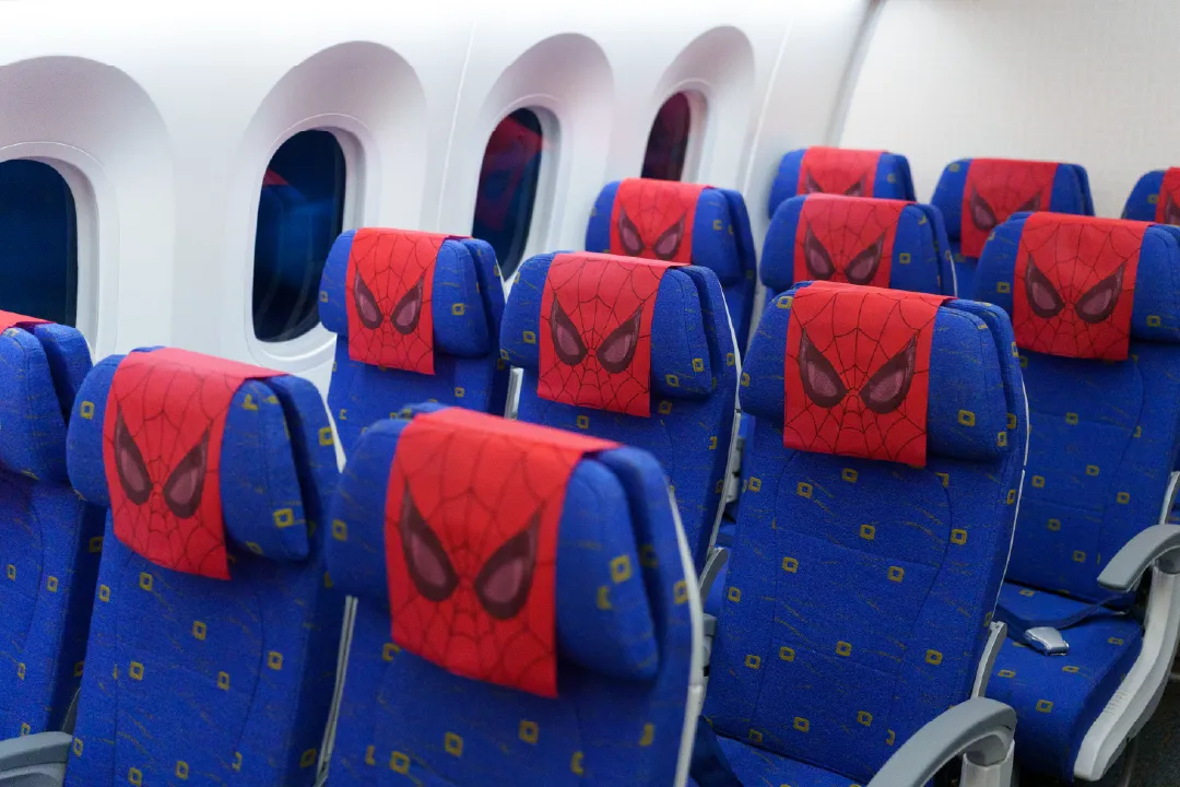 2-headrest-cover
