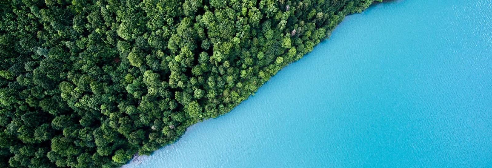 Sustainability