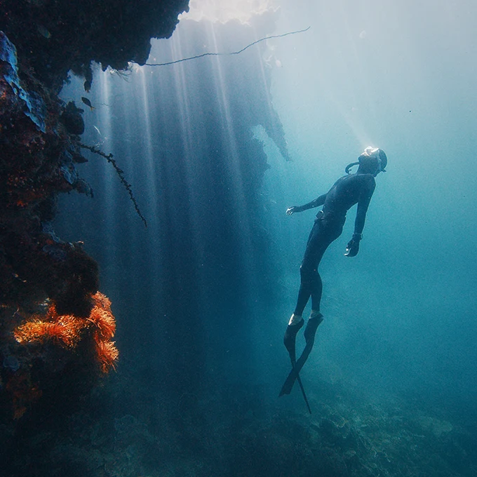 Dive In